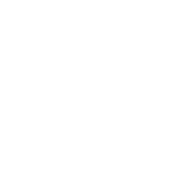 Camada 4